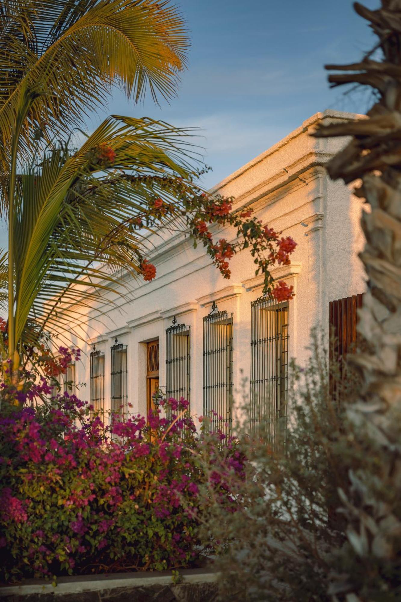 Baja Club Hotel, La Paz, Baja California Sur, A Member Of Design Hotels Exterior photo